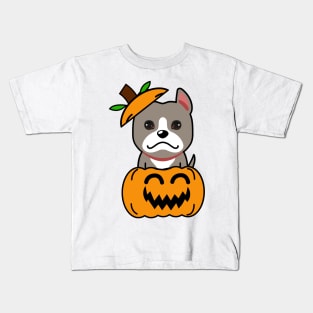 Funny grey dog is in a pumpkin Kids T-Shirt